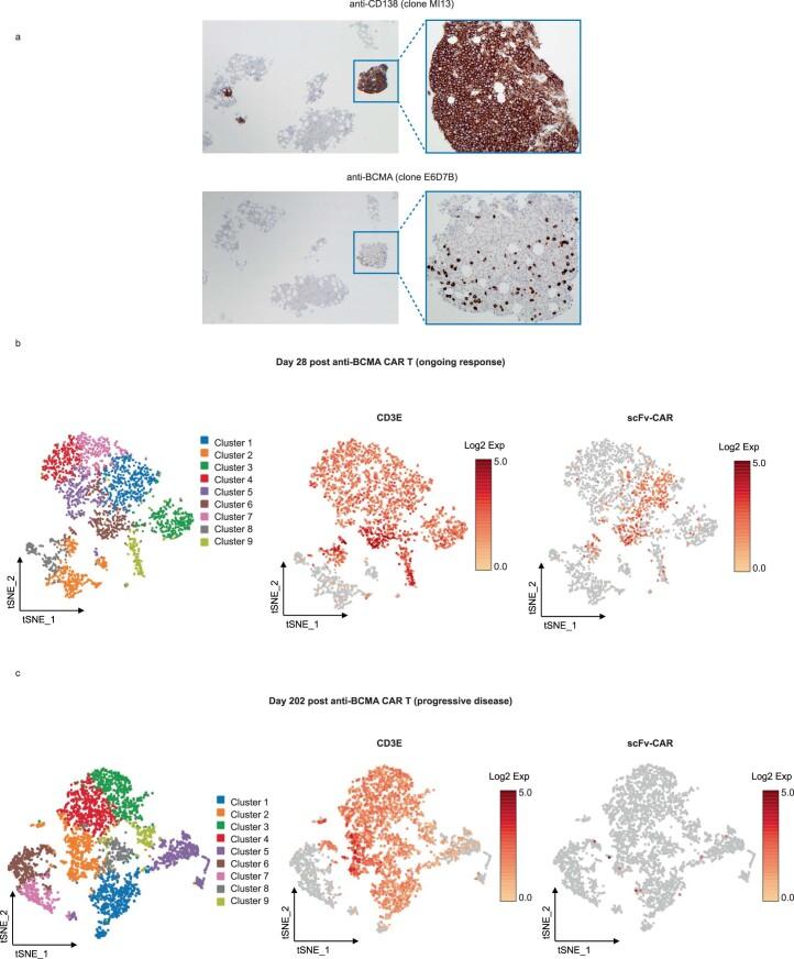 https://cdn.ncbi.nlm.nih.gov/pmc/blobs/39ae/10504087/9be230f6d1e9/41591_2023_2491_Fig8_ESM.jpg