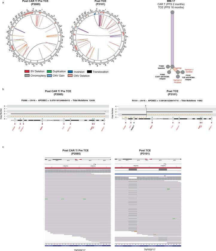 https://cdn.ncbi.nlm.nih.gov/pmc/blobs/39ae/10504087/9d12320c74fa/41591_2023_2491_Fig12_ESM.jpg