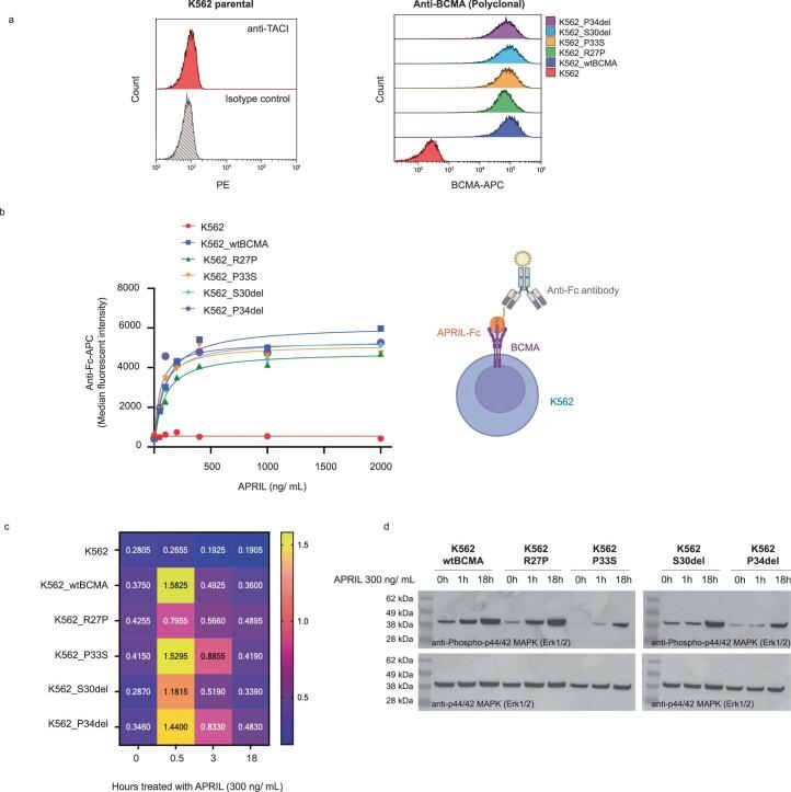 https://cdn.ncbi.nlm.nih.gov/pmc/blobs/39ae/10504087/a648a28e8a51/41591_2023_2491_Fig13_ESM.jpg