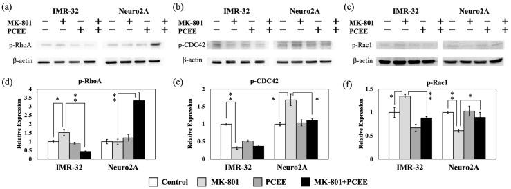 https://cdn.ncbi.nlm.nih.gov/pmc/blobs/39af/12109770/3260fbce7cec/cimb-47-00312-g005.jpg
