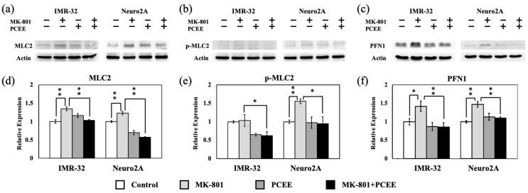 https://cdn.ncbi.nlm.nih.gov/pmc/blobs/39af/12109770/3fa92a390233/cimb-47-00312-g008.jpg