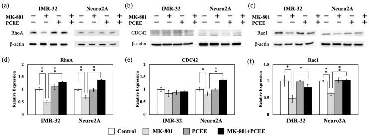 https://cdn.ncbi.nlm.nih.gov/pmc/blobs/39af/12109770/f310f79da592/cimb-47-00312-g004.jpg