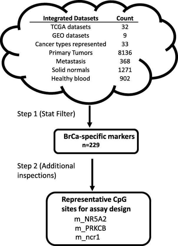 https://cdn.ncbi.nlm.nih.gov/pmc/blobs/39af/6995062/adca5c55f891/12885_2020_6574_Fig1_HTML.jpg