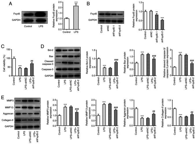 https://cdn.ncbi.nlm.nih.gov/pmc/blobs/39af/8908309/708629f31d48/mmr-25-04-12650-g00.jpg