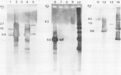 https://cdn.ncbi.nlm.nih.gov/pmc/blobs/39b2/195190/151739e3a732/aem00042-0211-a.jpg