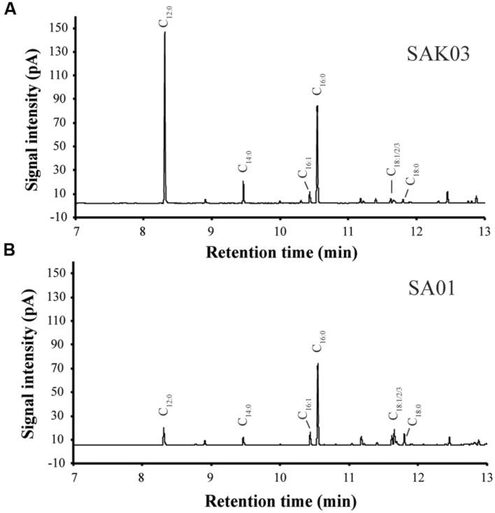 https://cdn.ncbi.nlm.nih.gov/pmc/blobs/39b2/4880568/74842c0ea76c/fpls-07-00690-g007.jpg