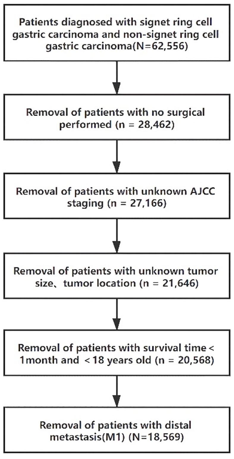 https://cdn.ncbi.nlm.nih.gov/pmc/blobs/39b2/8967986/6c8a5ce5c2ed/fsurg-09-819018-g0001.jpg