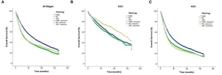 https://cdn.ncbi.nlm.nih.gov/pmc/blobs/39b2/8967986/74c19870db55/fsurg-09-819018-g0003.jpg