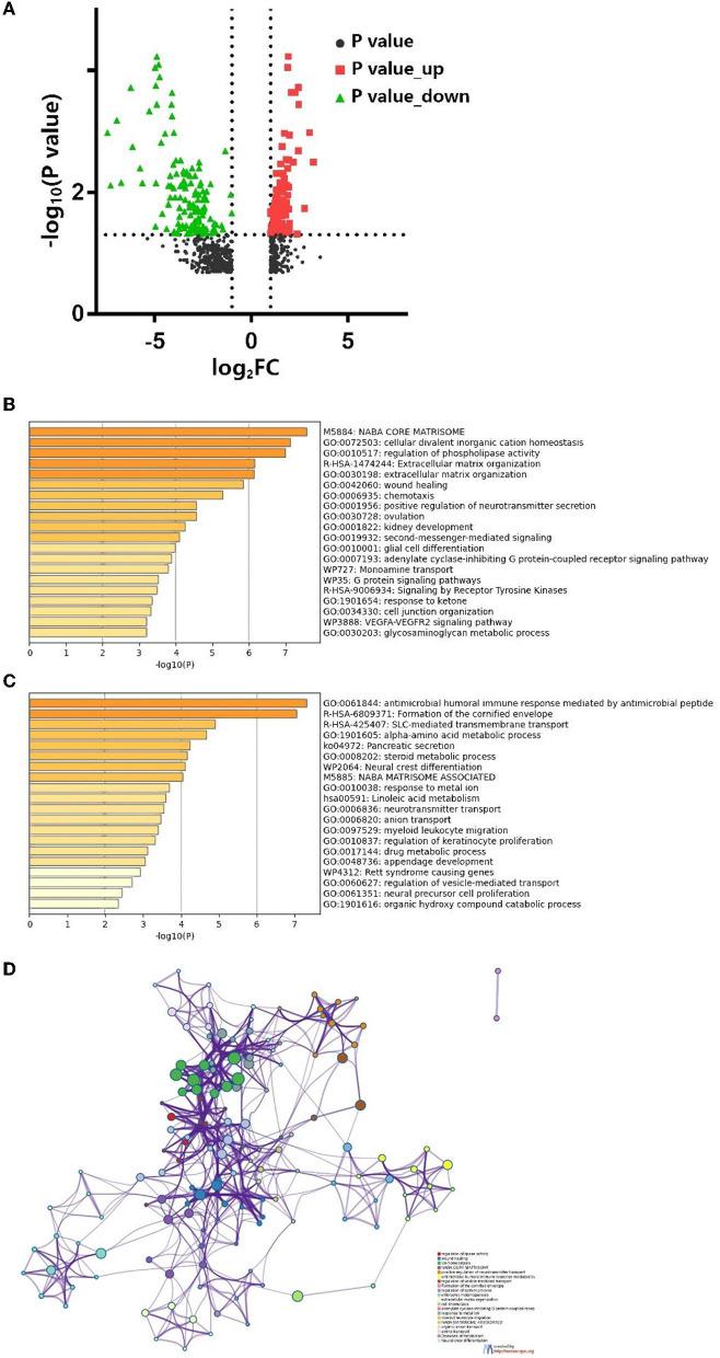 https://cdn.ncbi.nlm.nih.gov/pmc/blobs/39b2/8967986/8aab3117246d/fsurg-09-819018-g0004.jpg
