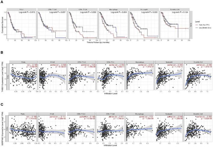 https://cdn.ncbi.nlm.nih.gov/pmc/blobs/39b2/8967986/a09baf5ca17e/fsurg-09-819018-g0012.jpg