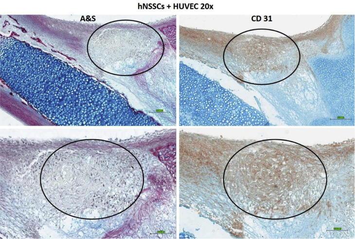 https://cdn.ncbi.nlm.nih.gov/pmc/blobs/39b5/5415166/489136d5a1c6/gr5.jpg