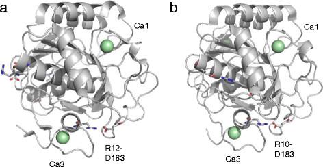 https://cdn.ncbi.nlm.nih.gov/pmc/blobs/39b6/4131155/44613005876d/s13568-014-0059-2-6.jpg