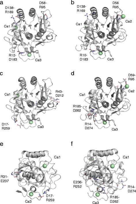 https://cdn.ncbi.nlm.nih.gov/pmc/blobs/39b6/4131155/9a163fe5107b/s13568-014-0059-2-1.jpg