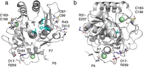 https://cdn.ncbi.nlm.nih.gov/pmc/blobs/39b6/4131155/d01e7e731151/s13568-014-0059-2-7.jpg