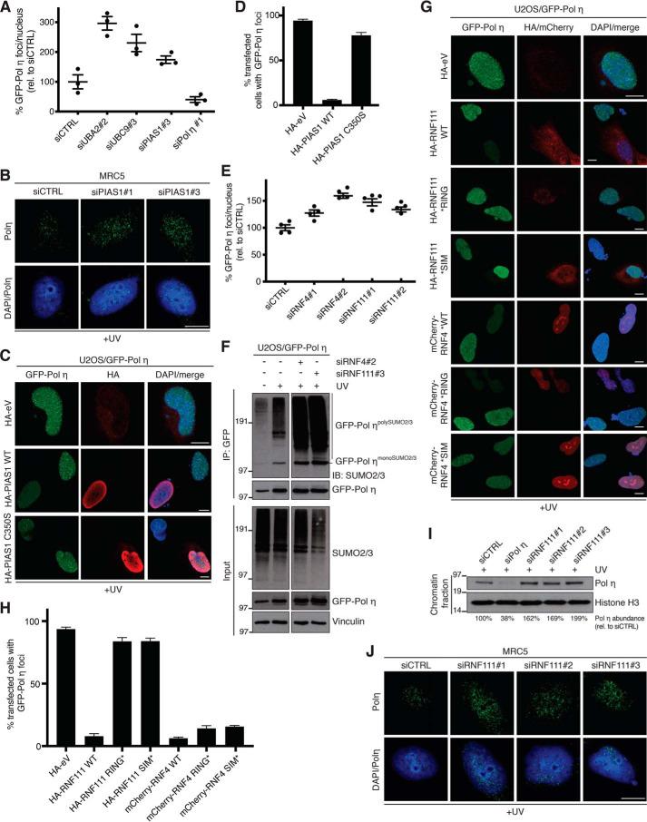 https://cdn.ncbi.nlm.nih.gov/pmc/blobs/39b9/7307195/f6096657043a/zbc9992024610003.jpg