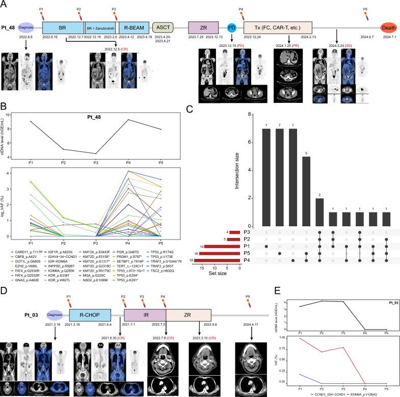 https://cdn.ncbi.nlm.nih.gov/pmc/blobs/39ba/12049778/adc50e962a3c/12935_2025_3789_Fig6_HTML.jpg