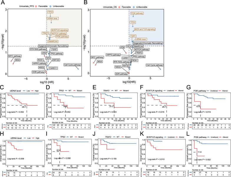 https://cdn.ncbi.nlm.nih.gov/pmc/blobs/39ba/12049778/c12db09185e6/12935_2025_3789_Fig5_HTML.jpg