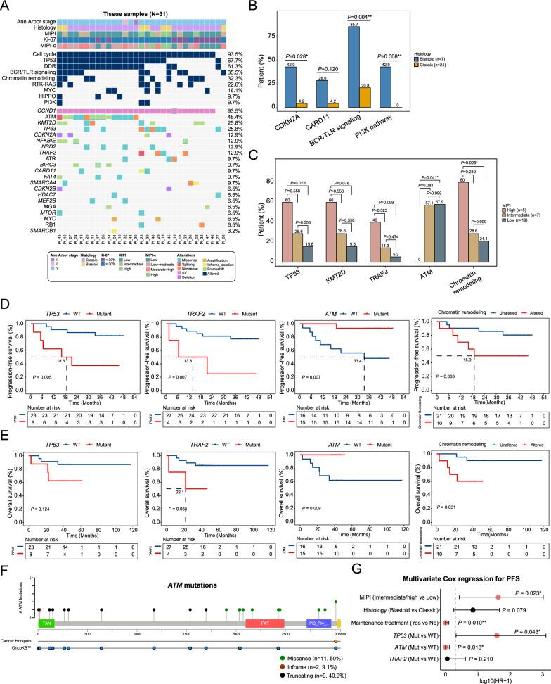https://cdn.ncbi.nlm.nih.gov/pmc/blobs/39ba/12049778/db0ea2dccfae/12935_2025_3789_Fig2_HTML.jpg