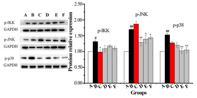 https://cdn.ncbi.nlm.nih.gov/pmc/blobs/39be/7296098/25b7fca3664c/fphar-11-00850-g007.jpg