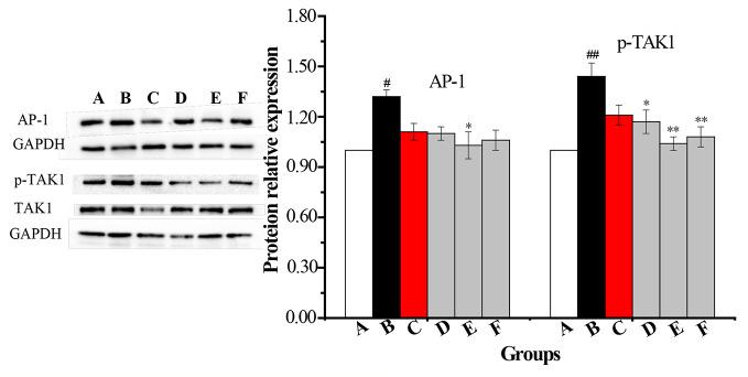 https://cdn.ncbi.nlm.nih.gov/pmc/blobs/39be/7296098/ea29fd72c6b4/fphar-11-00850-g008.jpg