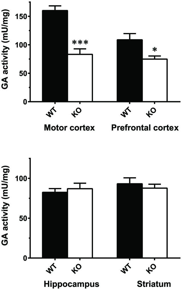 https://cdn.ncbi.nlm.nih.gov/pmc/blobs/39bf/5591874/4b8bdc0af8f6/fnmol-10-00278-g0005.jpg