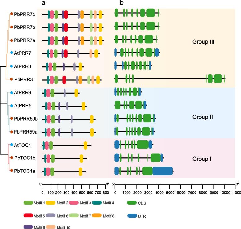 https://cdn.ncbi.nlm.nih.gov/pmc/blobs/39c2/11340073/84d489c4c1c3/12864_2024_10720_Fig4_HTML.jpg