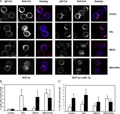 https://cdn.ncbi.nlm.nih.gov/pmc/blobs/39c3/2118358/1aa1b52263ae/jem2031773f04.jpg