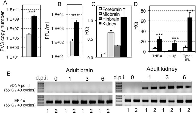 https://cdn.ncbi.nlm.nih.gov/pmc/blobs/39c3/4773881/acca2b8bb7c2/srep22508-f1.jpg