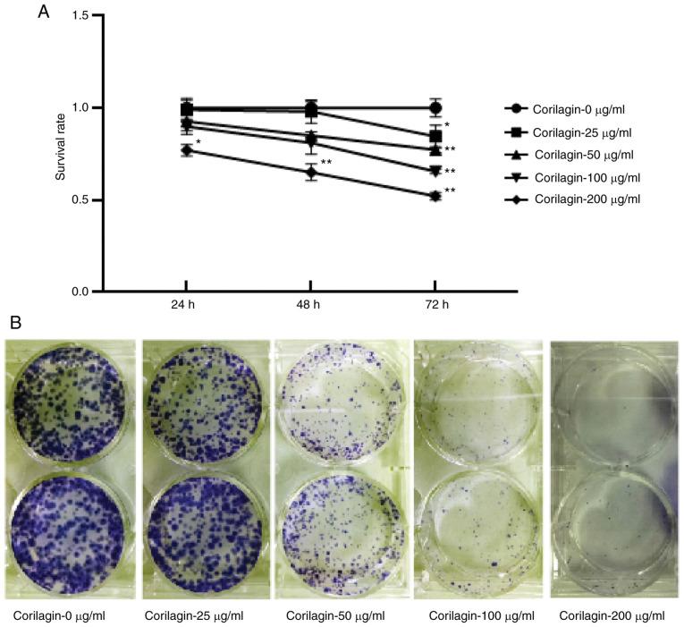https://cdn.ncbi.nlm.nih.gov/pmc/blobs/39c4/7905533/77d1aa06736e/or-45-04-7985-g00.jpg