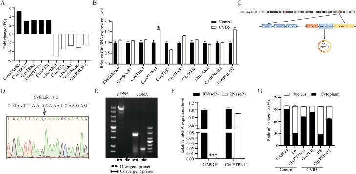 https://cdn.ncbi.nlm.nih.gov/pmc/blobs/39c7/11699211/1fe747eeb94f/gr1.jpg