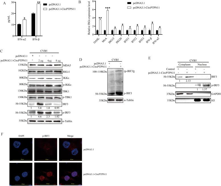 https://cdn.ncbi.nlm.nih.gov/pmc/blobs/39c7/11699211/e382e8f10f41/gr4.jpg