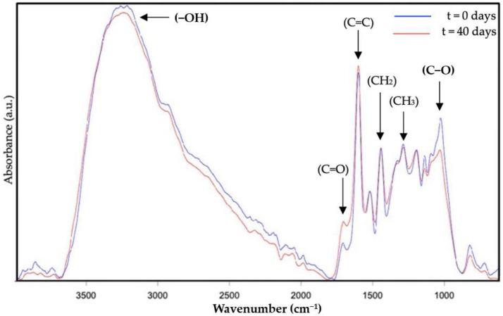 https://cdn.ncbi.nlm.nih.gov/pmc/blobs/39cd/10223416/0fee6846b5c5/molecules-28-04137-g004.jpg