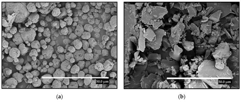 https://cdn.ncbi.nlm.nih.gov/pmc/blobs/39cd/10223416/2075f60a2750/molecules-28-04137-g001.jpg