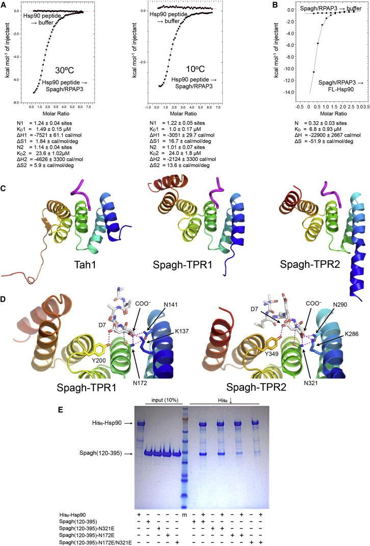 https://cdn.ncbi.nlm.nih.gov/pmc/blobs/39cd/4058522/b27064dde73c/gr4.jpg