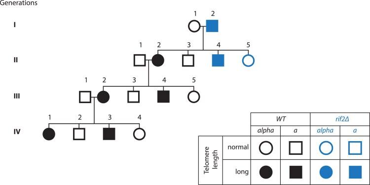 https://cdn.ncbi.nlm.nih.gov/pmc/blobs/39d0/12406008/1f5702b9a024/iyaf129_ga.jpg