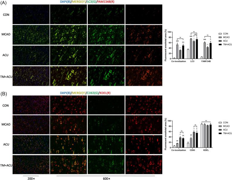 https://cdn.ncbi.nlm.nih.gov/pmc/blobs/39d2/10284816/1b4970450fdc/41598_2023_36147_Fig6_HTML.jpg