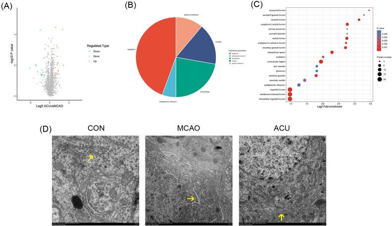 https://cdn.ncbi.nlm.nih.gov/pmc/blobs/39d2/10284816/d2ac4f627239/41598_2023_36147_Fig4_HTML.jpg