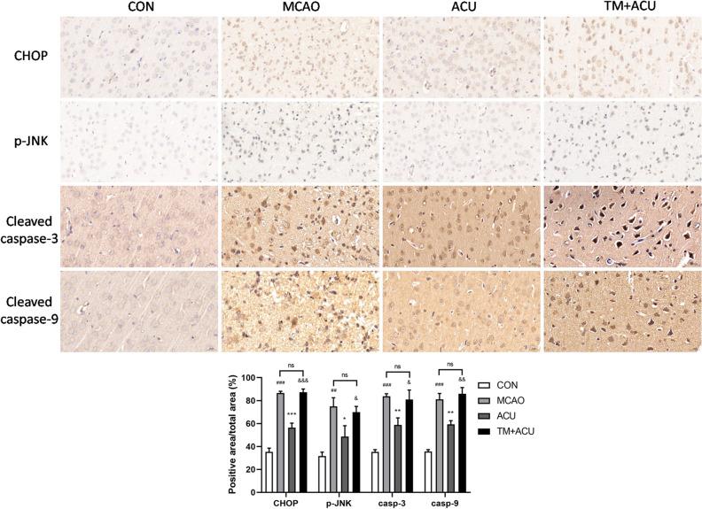 https://cdn.ncbi.nlm.nih.gov/pmc/blobs/39d2/10284816/e7da68be5747/41598_2023_36147_Fig7_HTML.jpg