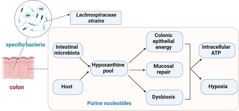 https://cdn.ncbi.nlm.nih.gov/pmc/blobs/39d4/8495119/f3c24860e106/fcimb-11-729346-g002.jpg