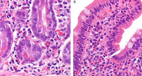 https://cdn.ncbi.nlm.nih.gov/pmc/blobs/39d4/8923360/763378a983a8/pas-46-557-g008.jpg