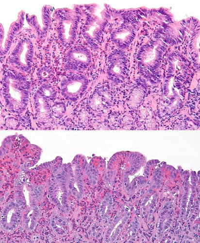 https://cdn.ncbi.nlm.nih.gov/pmc/blobs/39d4/8923360/7f566e62e1eb/pas-46-557-g010.jpg