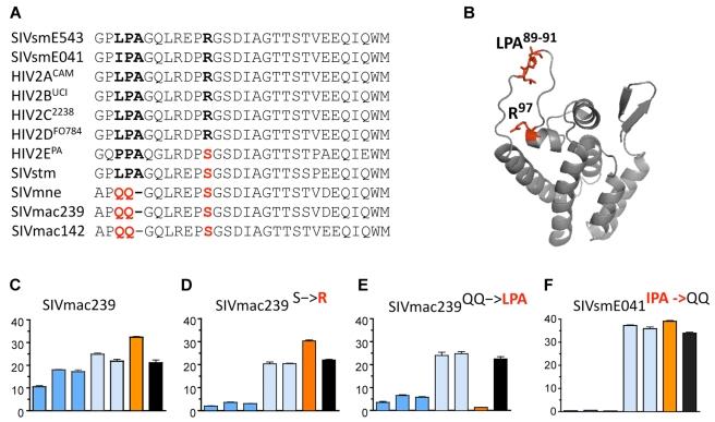 https://cdn.ncbi.nlm.nih.gov/pmc/blobs/39d5/2927514/8946a3814c18/pbio.1000462.g006.jpg