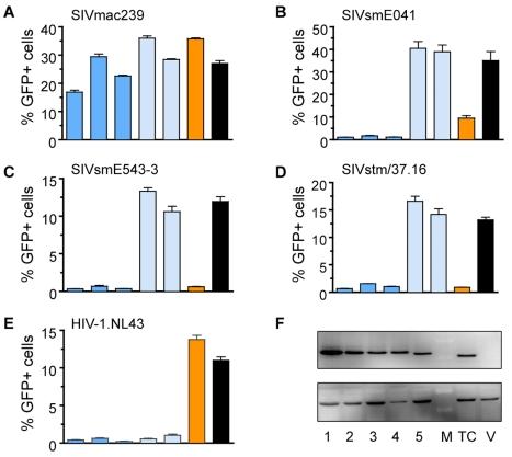 https://cdn.ncbi.nlm.nih.gov/pmc/blobs/39d5/2927514/f114996cf491/pbio.1000462.g002.jpg