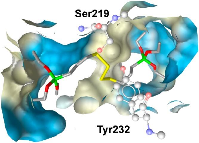 https://cdn.ncbi.nlm.nih.gov/pmc/blobs/39d6/6332202/9e059fb07118/molecules-20-19880-g017.jpg