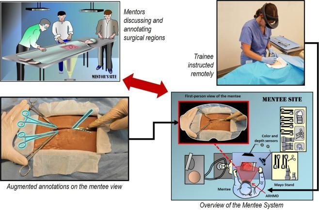 https://cdn.ncbi.nlm.nih.gov/pmc/blobs/39d7/7242344/d7545d310302/41746_2020_284_Fig1_HTML.jpg