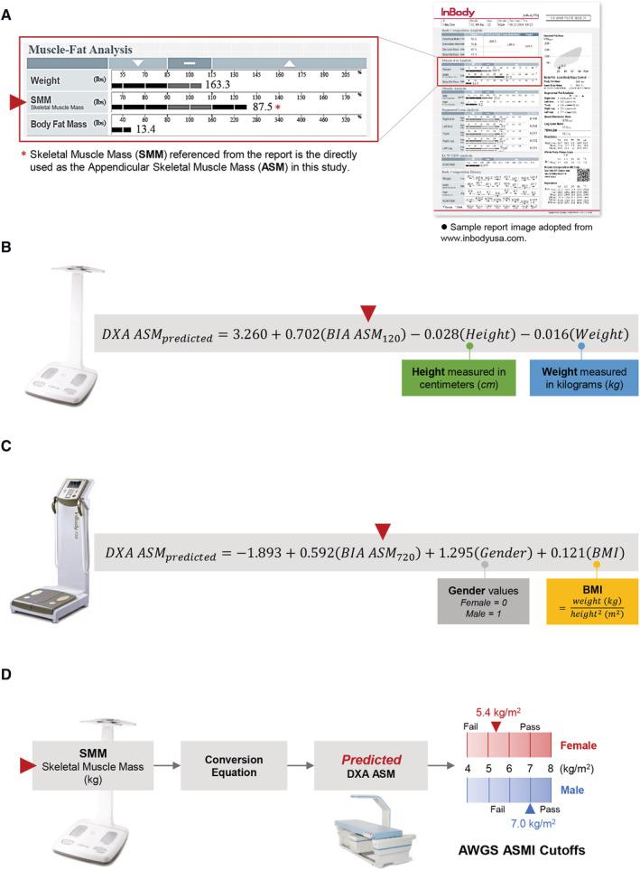 https://cdn.ncbi.nlm.nih.gov/pmc/blobs/39d7/8718029/4b52c5440107/JCSM-12-2163-g001.jpg