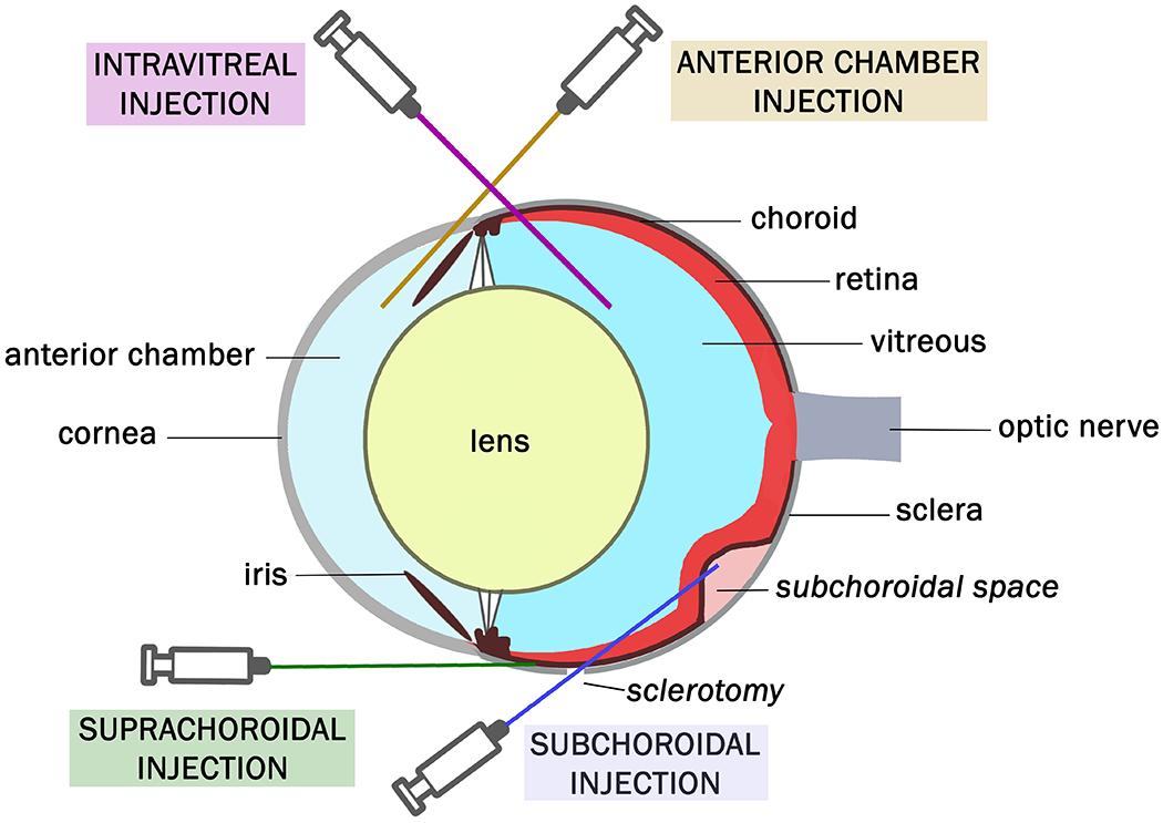 https://cdn.ncbi.nlm.nih.gov/pmc/blobs/39d7/8959478/4ea3eed80f8b/nihms-1749790-f0002.jpg