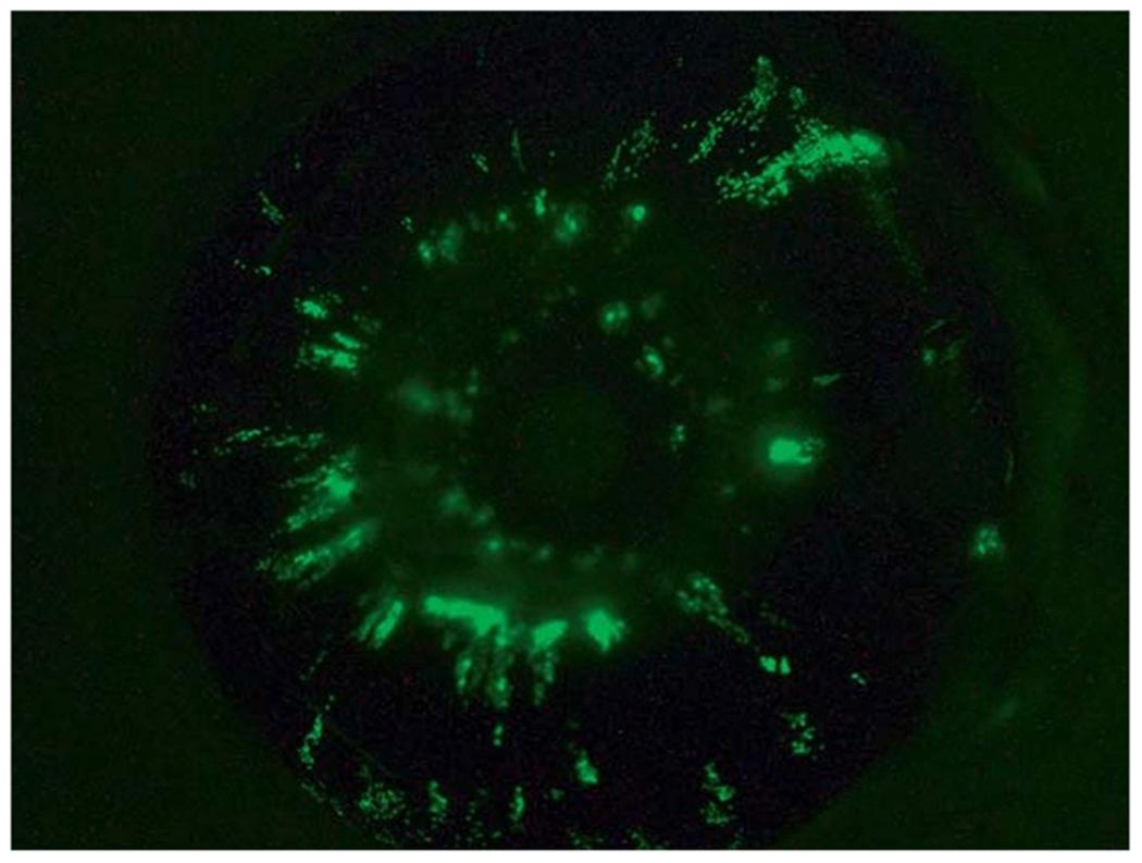 https://cdn.ncbi.nlm.nih.gov/pmc/blobs/39d7/8959478/f9bfbb316dfd/nihms-1749790-f0005.jpg