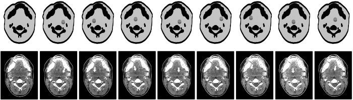 https://cdn.ncbi.nlm.nih.gov/pmc/blobs/39da/11269546/77446a3092fd/41747_2024_486_Fig1_HTML.jpg