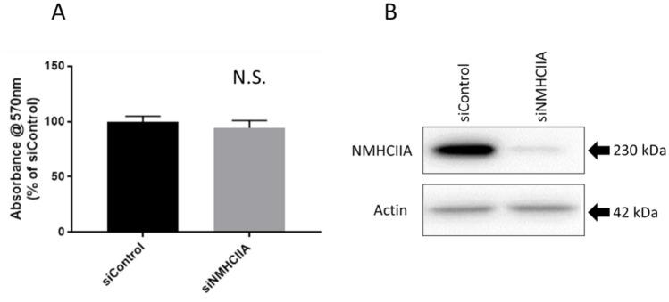 https://cdn.ncbi.nlm.nih.gov/pmc/blobs/39da/11958448/b522ea43fbb7/13577_2025_1196_Fig5_HTML.jpg
